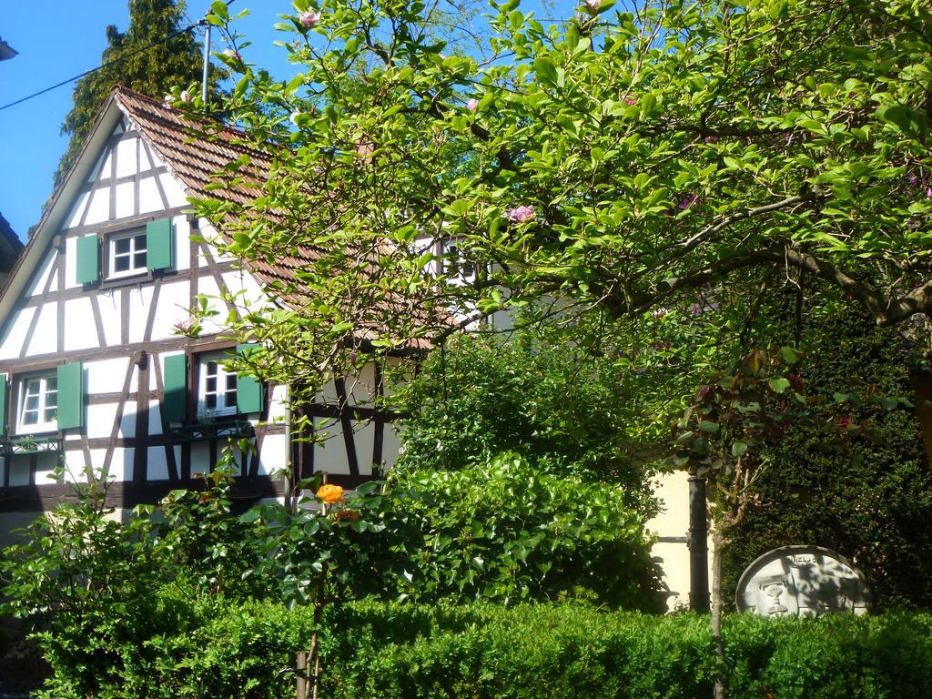 Baumanns Landhaus Durbach Kültér fotó