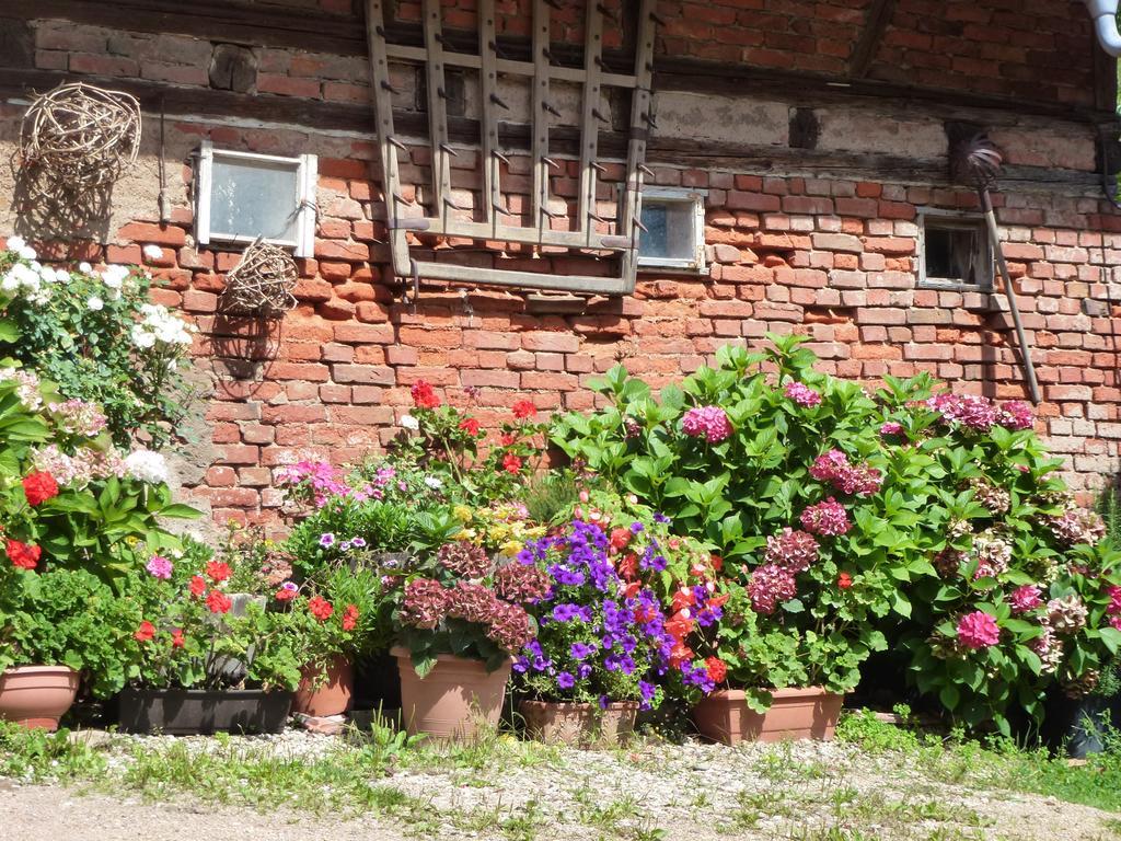 Baumanns Landhaus Durbach Kültér fotó