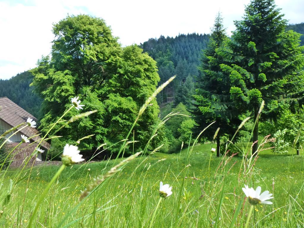 Baumanns Landhaus Durbach Kültér fotó