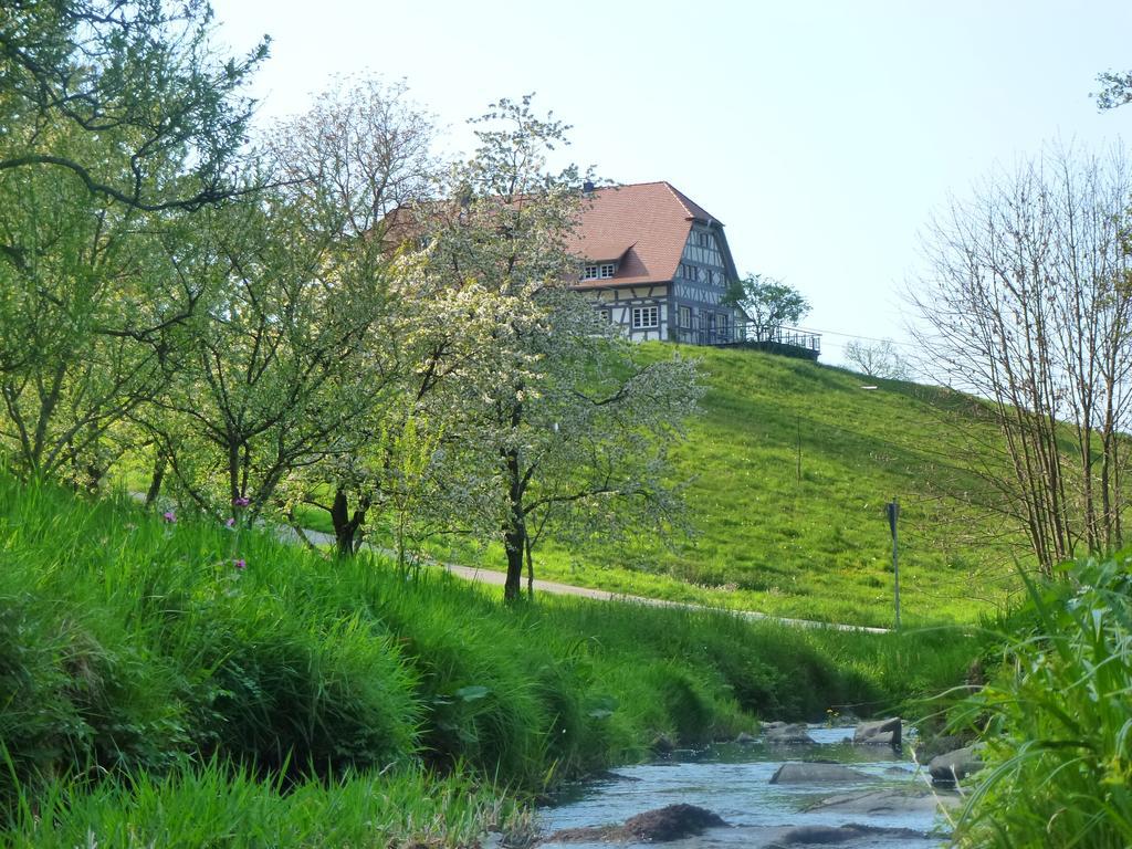 Baumanns Landhaus Durbach Kültér fotó